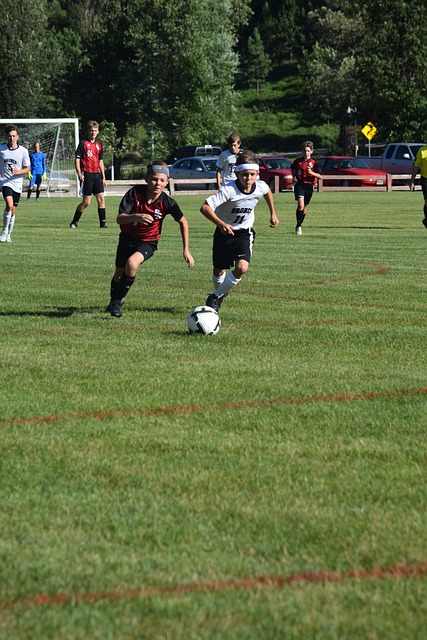 术上的熟练 术上的熟练