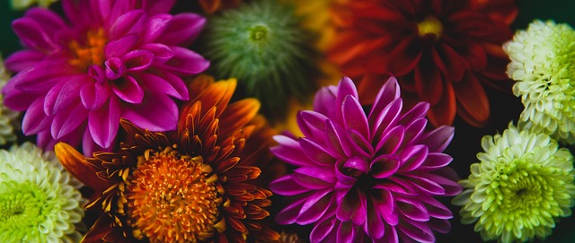 线优势来施 线优势来施