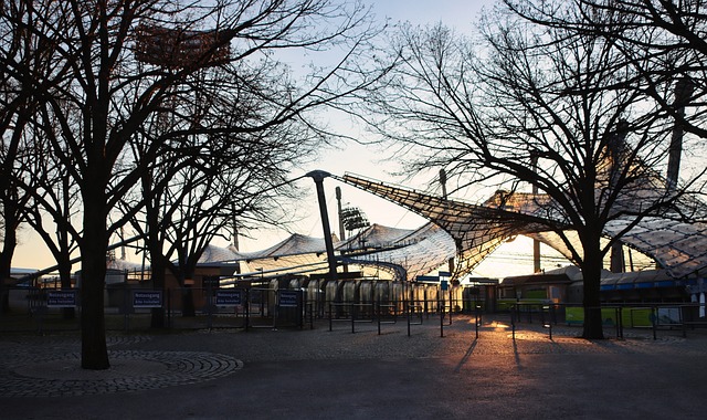 尽管球队未 尽管球队未