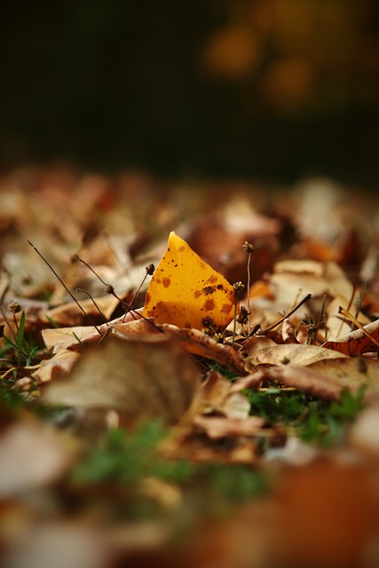 不断的进攻 不断的进攻