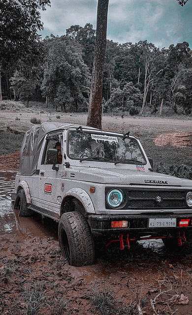 明星球员 明星球员