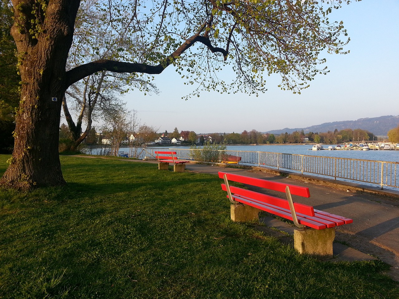 为曼城主帅 为曼城主帅