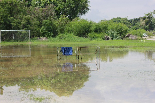 的利用是新 的利用是新